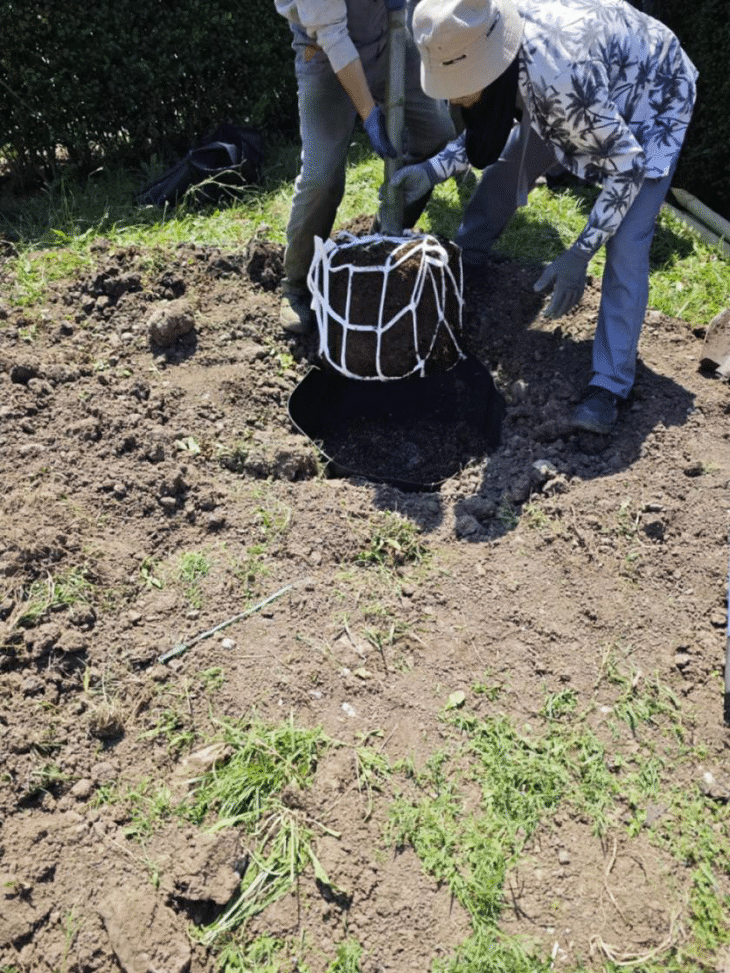 Започна изпълнението на дейностите по озеленяване на детска площадка „Морски свят“ в Северния парк