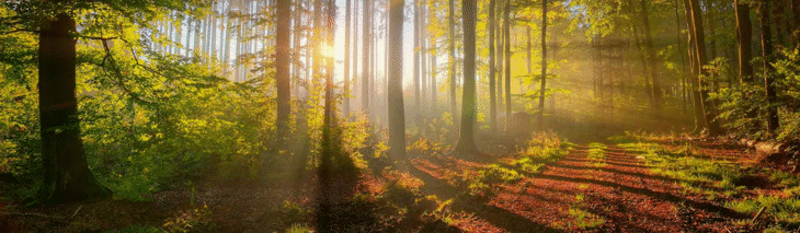 „Топлофикация София“ ЕАД инициира изнесени приемни за потребителите