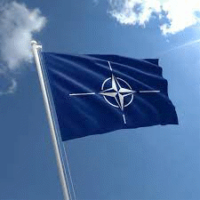 Изявление на говорителя на НАТО Оана Лунджеску