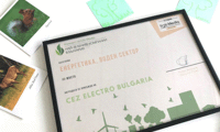 Електрохолд