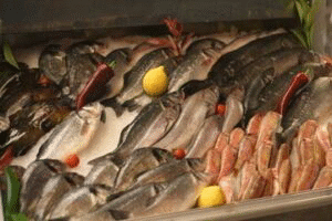 ДАМТН провери 279 обекта, които предлагат за продажба риба и рибни продукти в рибни магазини и борси