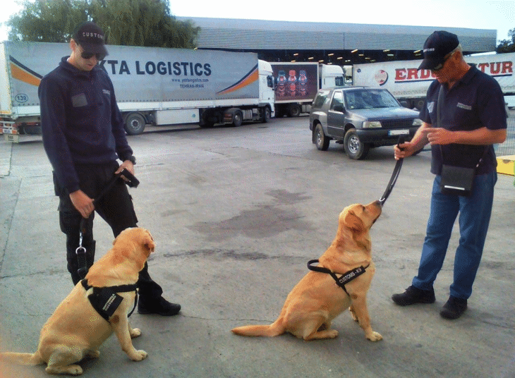 Митнически кучета се включват в борбата с контрабандата на цигари на МП Капитан Андреево