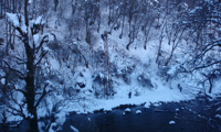 Електрохолд