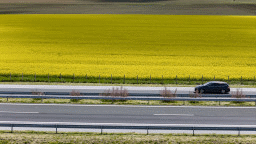 Утре за ремонт на ограничителни системи се променя организацията на движение при 99-ти км на АМ „Тракия“ в област Пазарджик. Шофирайте внимателно!