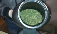 МВР