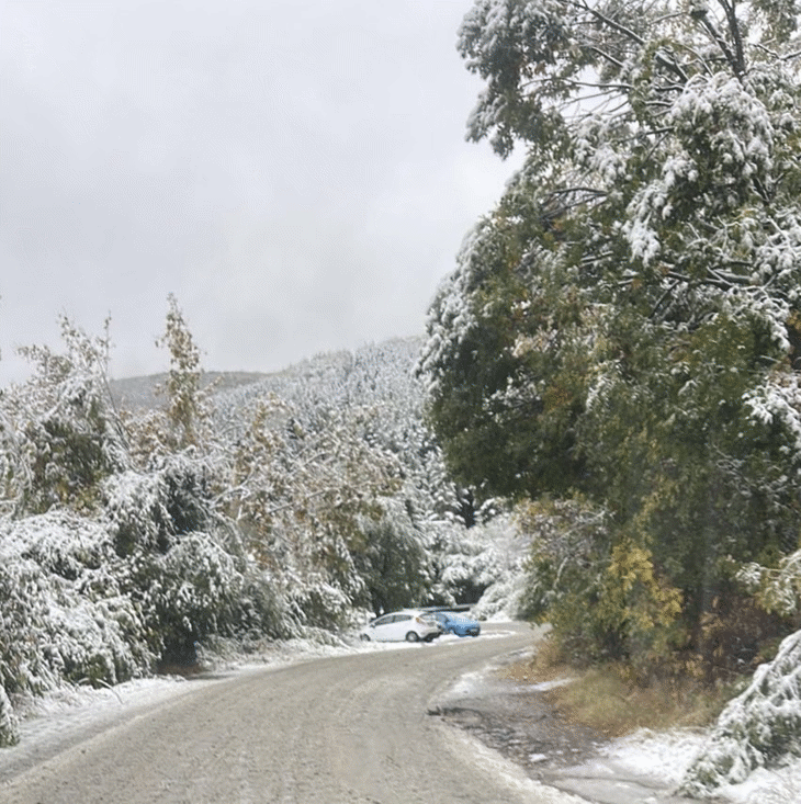 Официално съобщение от Столична община относно достъпа до Природен парк Витоша