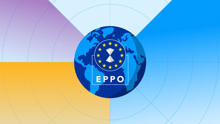 Седем са кандидатите за европейски прокурор от България