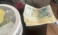 МВР