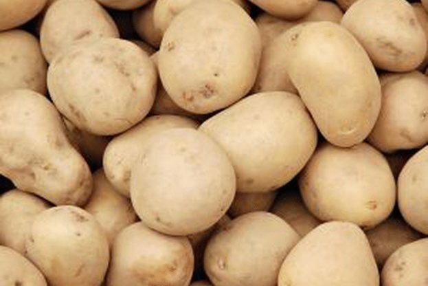 Не е установен внос на заразени картофи в България