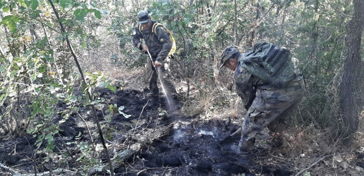 Военнослужещи от Сухопътните войски оказват помощ при гасенето на пожар в село Изворово
