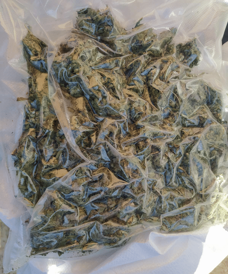 Окръжна прокуратура - Бургас привлече към наказателна отговорност пет лица, участващи в организирана престъпна група за държане и разпространение на марихуана