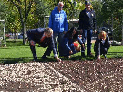 Цветна мозайка от холандски лалета с логото на българското председателство засадиха в парка на НДК