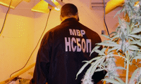 МВР