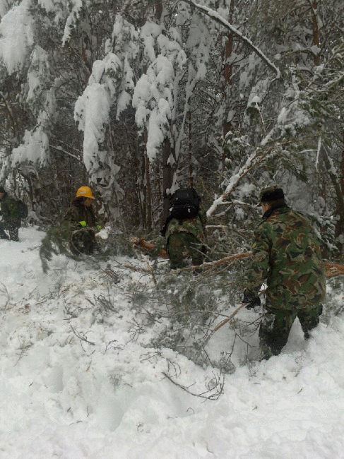 Пети ден военнослужещи помагат за преодоляване на последиците от снежното бедствие в Смолянско