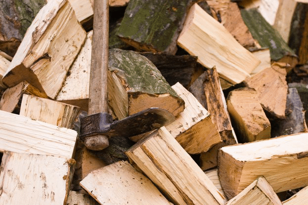 От утре влиза в сила нова Наредба за сечите в горите