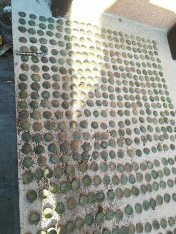 Старинни монети и предмети с историческа стойност откриха полицаи от ОДМВР – Стара Загора