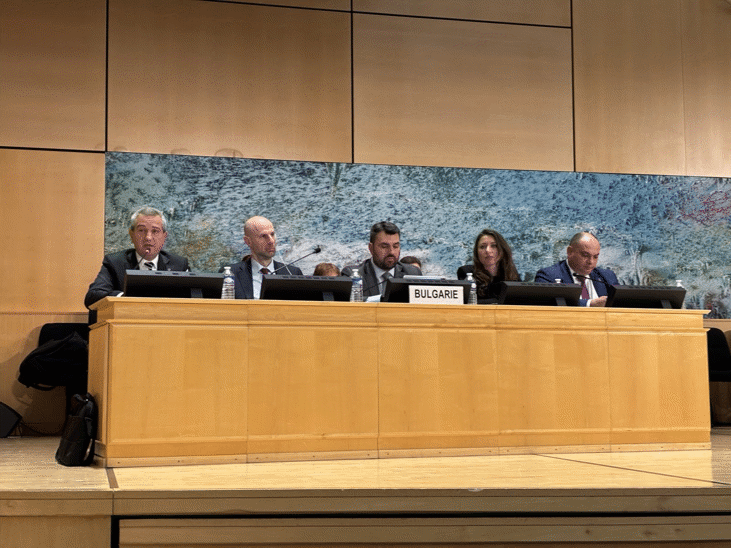 Зам.-Министър Кръстев Представи Пред Оон Политиките На България За Правата На Децата И Хората С Увреждания