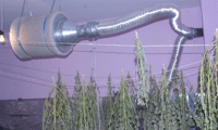 МВР