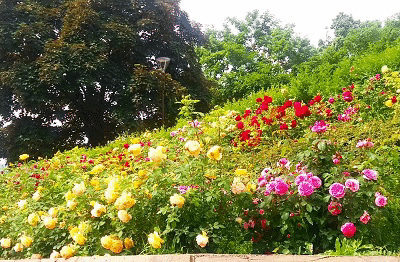 Цветна фигура с логото на Българско председателство на Съвета на ЕС е оформена в парка на НДК