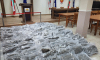 Близо 200 кг марихуана задържаха ГДБОП и Агенция “Митници” МВР