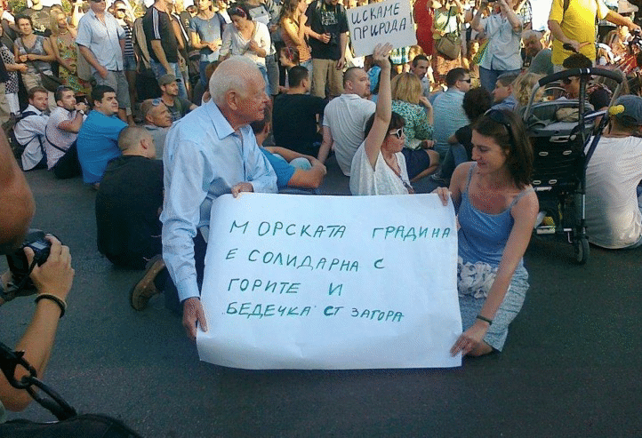 Учени от «Харвард» и «Принстън» бранят парк в Стара Загора