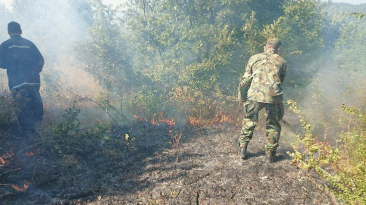 С помощта на военнослужещи е локализиран пожара в землището на село Дрипчево, община Харманли