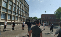 МОН