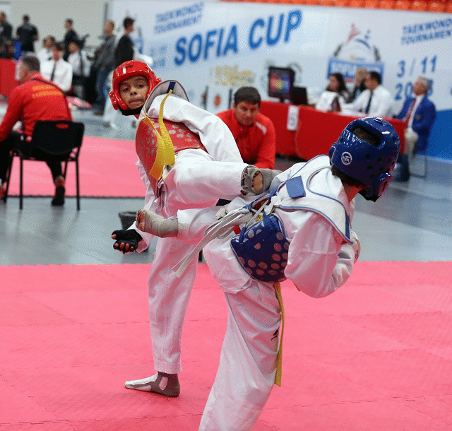 Министър Кралев откри международния турнир 
по таекуондо „Sofia cup”