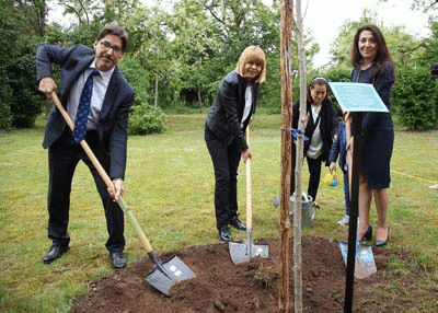 Продължава засаждането на нови дървета в парковете на София