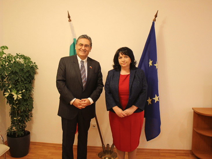 Министър Петкова и посланик Улусой обсъдиха развитието на енергийните проекти между двете държави