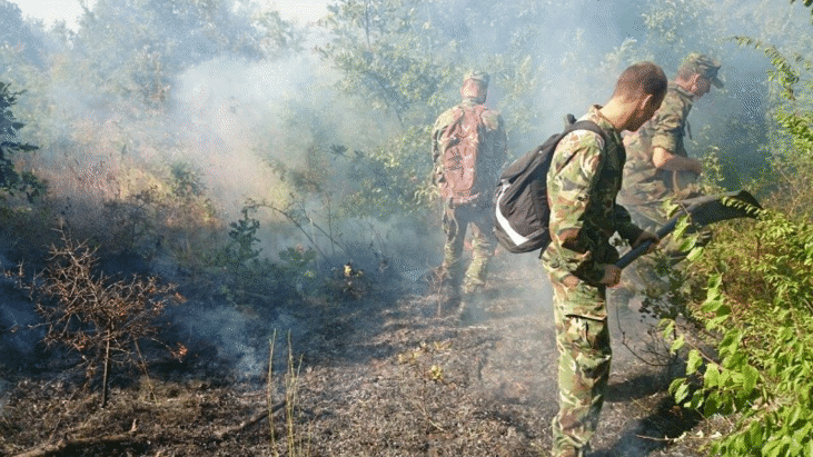 При гасенето на горските пожари, армията отново е в помощ на населението