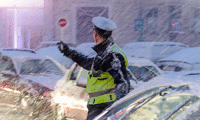 МВР