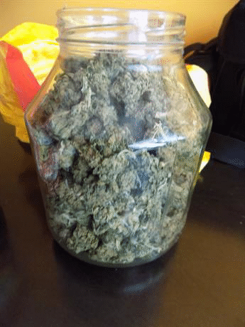 Служители на ГДБОП неутрализираха организирана престъпна група, занимавала се с разпространение, производство и отглеждане на наркотици