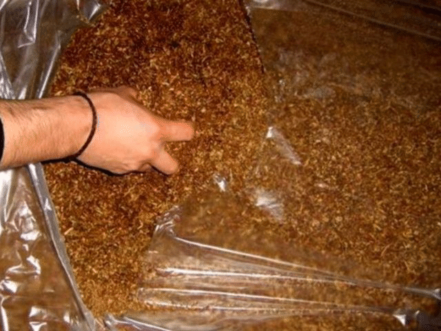 Нелегални цигари и тютюн задържаха в магазин и частен дом митнически служители от Митница Варна