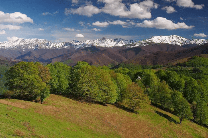 Днес отбелязваме денят на парковете в България
