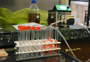 Институтът по микробиология „Стефан Ангелов” – БАН чества 70 години