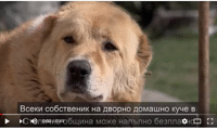 СО