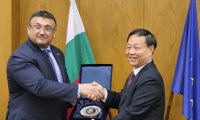 МВР