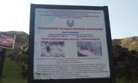 Биволъ