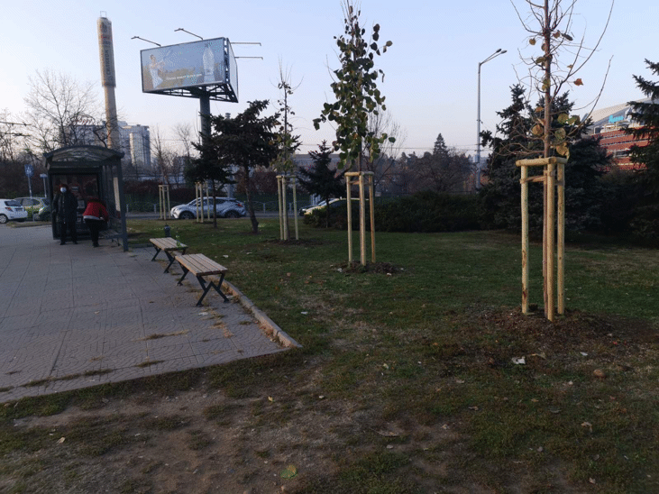 Продължава засаждането на широколистни и иглолистни фиданки в града