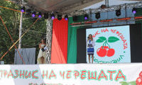 МЗХГ