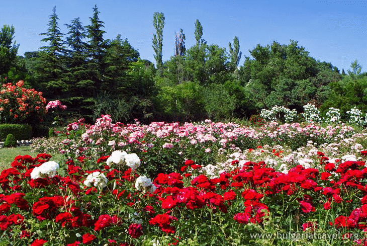 Честит 8 март на жените в туризма!