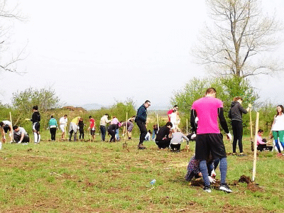 4000 засадени дръвчета в първите 4 дни в Новата гора на София