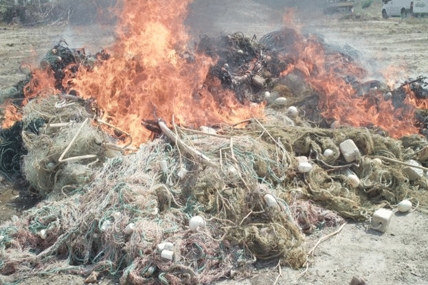Над 7 км бракониерски мрежи бяха изгорени край Варна