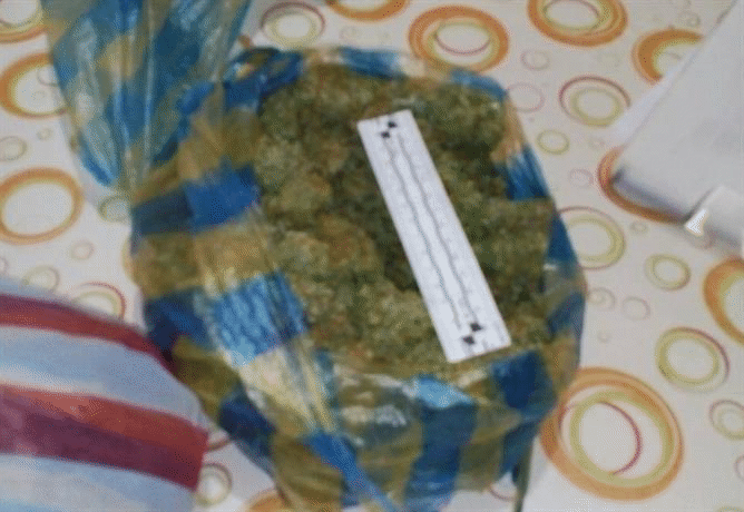 Служители на териториалните служби на ГДБОП - София област и Велико Търново разкриха наркооранжерия