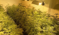 МВР