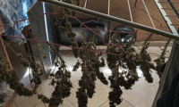 МВР