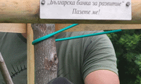 СО