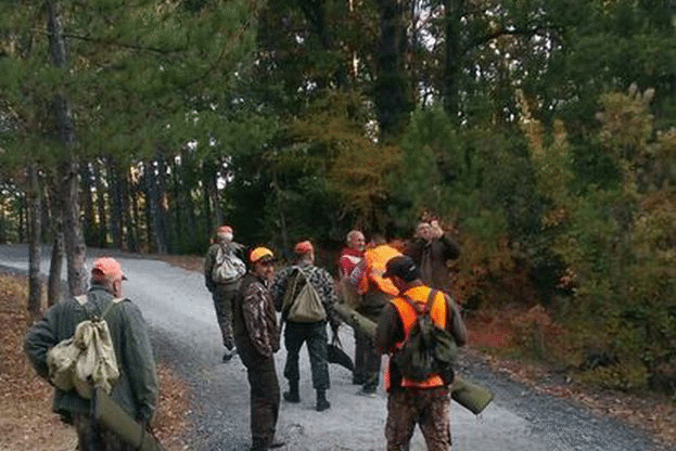 На 11 август се открива ловът на пъдпъдъци, гургулици, гривяк, горски бекас и обикновена бекасина