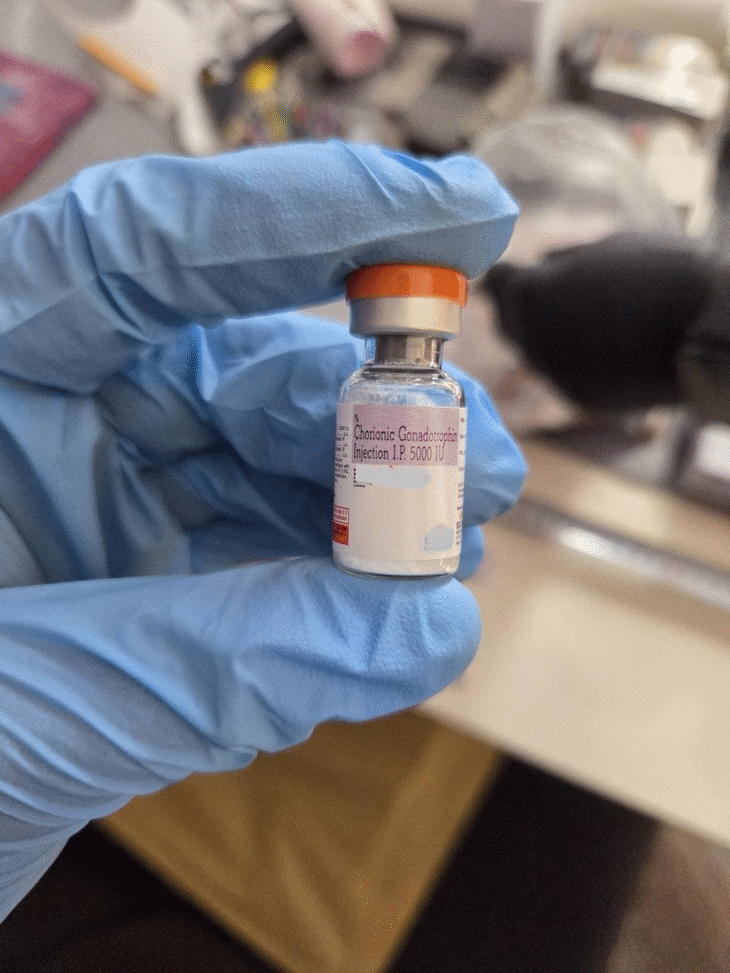 Разкрита е нелегална лаборатория за производство на хормонални препарати в Пирдоп